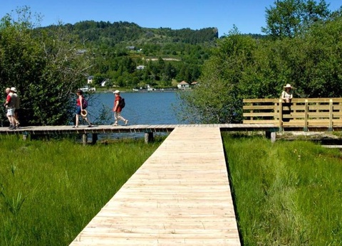 Camping Domaine du Lac Chambon 3* - 23