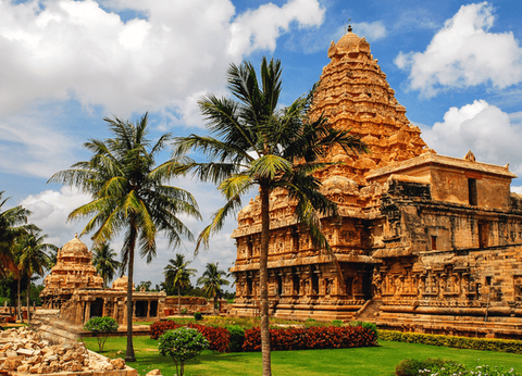 Circuit Charmes de l'Inde du Sud - 17