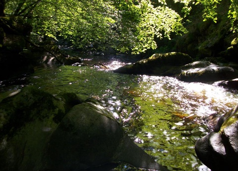 Camping la Ripole, 3* - 23