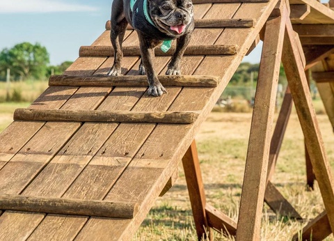 Gitavillage Le Marze - 40