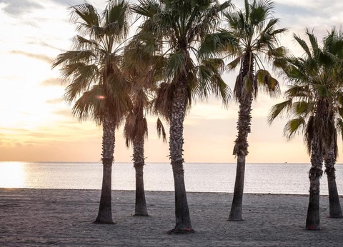 Camping Estival Vendrell Platja, 4* - 36