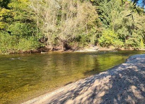 Camping Les Calquières, 4* - 45