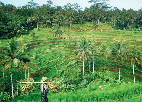 Circuit Bali, l'ile enchantée + Extension à Sanur - 7