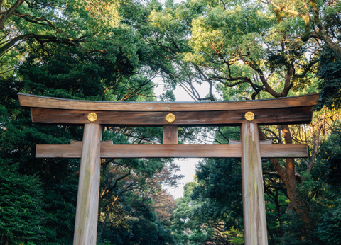 Circuit Mangas et Capitales, le Japon en Famille et en Liberté - 21