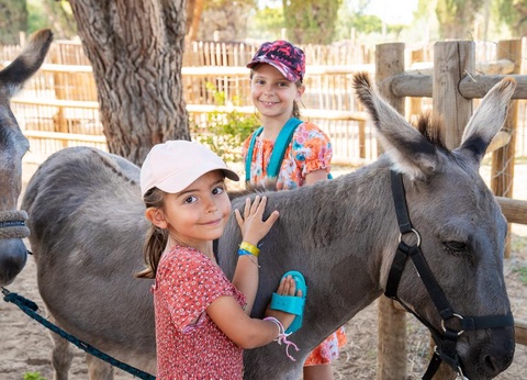 Camping SUNELIA Les Sablons, 5* - 53