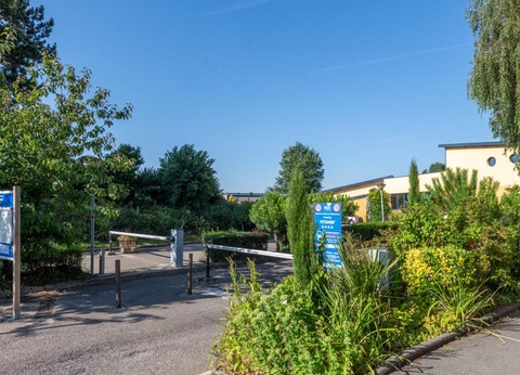 Flower Camping Vitamin, 4* - 47