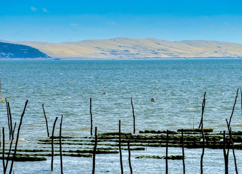 Séjour à Arcachon à deux pas de l'océan et la Dune du Pilat - 3* - 10