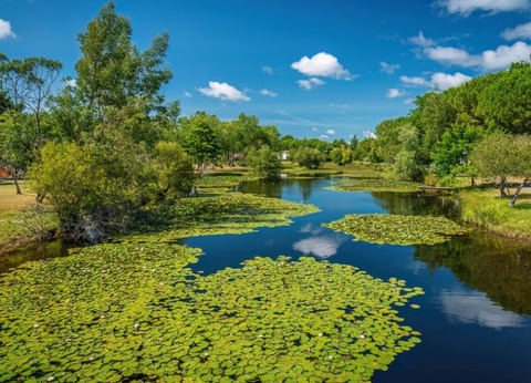 Camping L'Orée du Bois 4* - 38