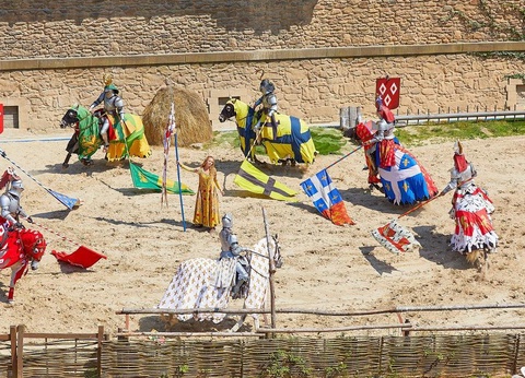 Camping Domaine de la Brèche 5* - 16