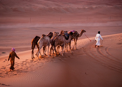 Circuit Féérie Omanaise et Salalah - 2