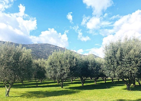 Camping Le Sagone, 4* - 43