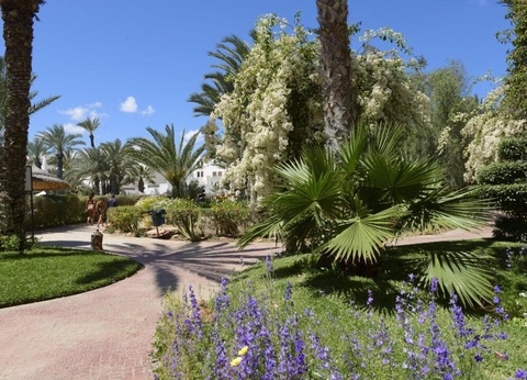 Hôtel Djerba Resort 4* - 4
