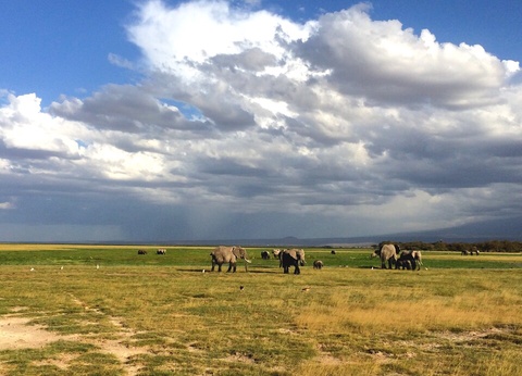 Safari Féeries d'Afrique - 16