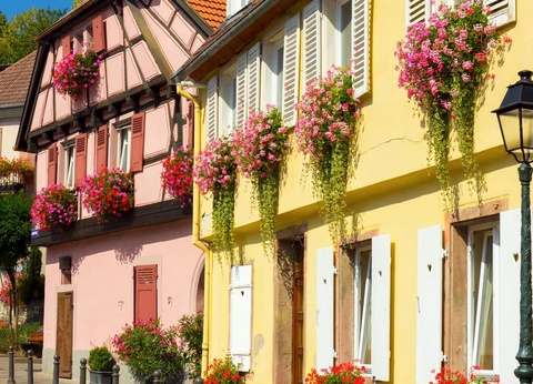 ÉVeil des sens avec dîner et accès spa inclus à Ribeauvillé - 3* - 9