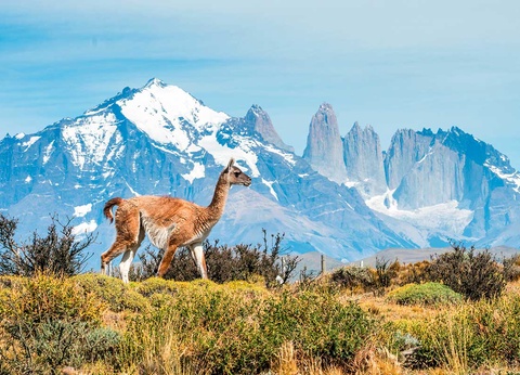 Circuit De l'Argentine au Chili - 17