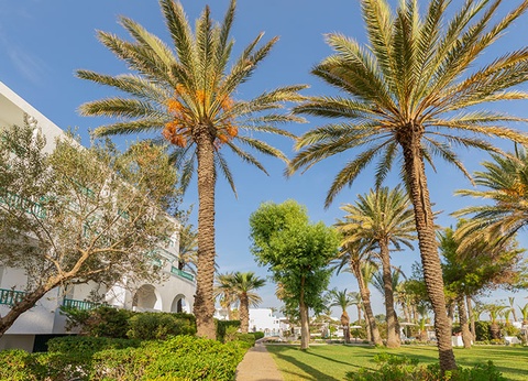 Hôtel El Mouradi Port El Kantaoui 4* - 14