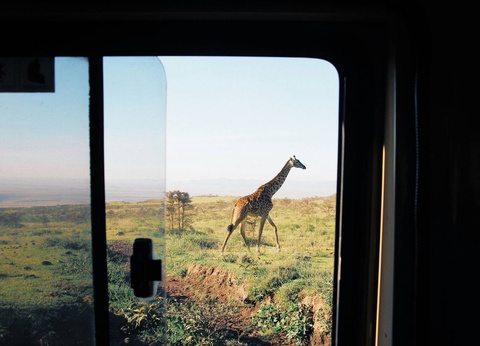 Circuit Lumières d'Afrique Safari au coeur du Kenya - 6