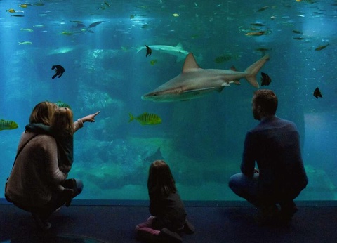 Séjour familial avec entrée à l'Aquarium Nausicaa - 3* - 30