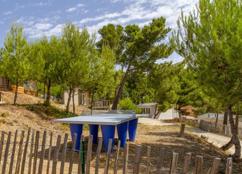 Camping Le Bois de Pins, 3* - 11