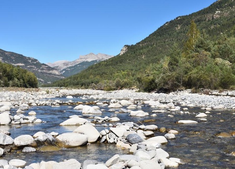 Camping Paradis - Les Relarguiers, 3* - 14