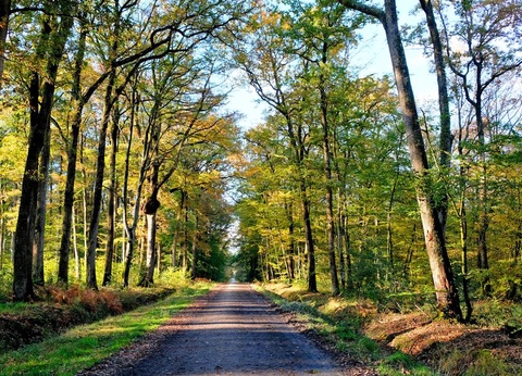 Camping l'Hermitage, 3* - 28