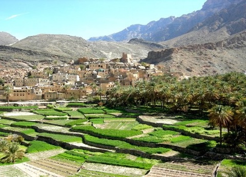 Circuit Oman, terre de traditions - 9