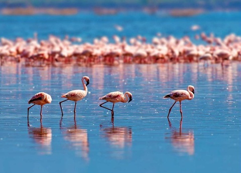 Camping Le Palavas, 4* - 45