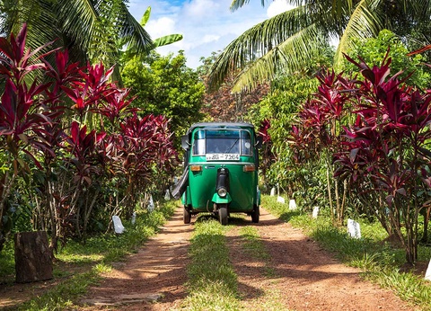 Circuit Majestueuse île de Ceylan et Jaffna - 12