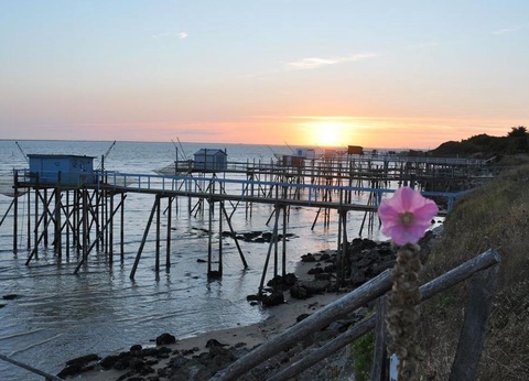 Flower Camping L'Abri-Côtier, 3* - 222