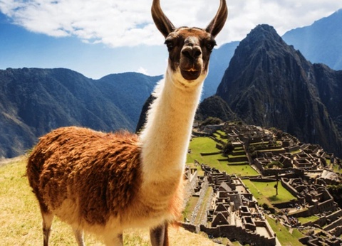 Circuit Privatif Joyaux Andins - 2