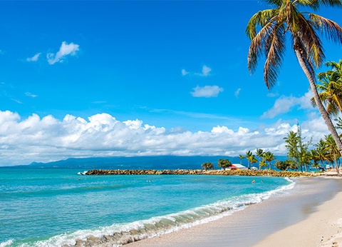 Circuit Perles de Guadeloupe et plage du Framissima Evasion Arawak Beach Resort **** - 12