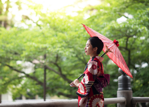 Circuit Au Coeur du Japon et 3 nuits Osaka-Kyoto - 38