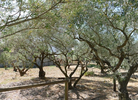 Flower Camping de l'Olivigne, 4* - 47