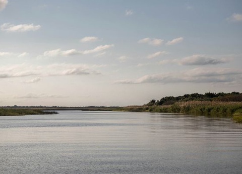 Circuit Immersion en Afrique du Sud - 14