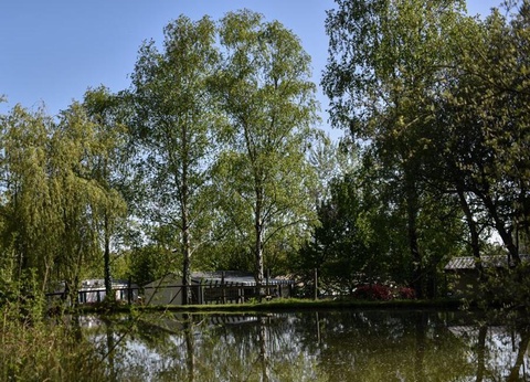 Camping Paradis - Domaine de Bellevue, 4* - 76
