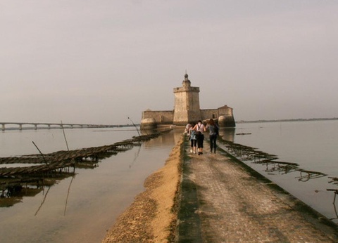 Camping Oléron Saint Tro'Park, 4* - 50