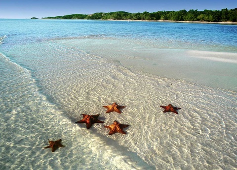 Circuit Merveilles du Costa Rica du Nord au Sud + Extension dans les Caraïbes et au Panama - 18