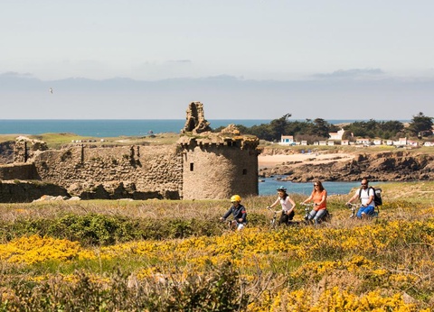 Camping L'Abri des Pins, 4* - 244