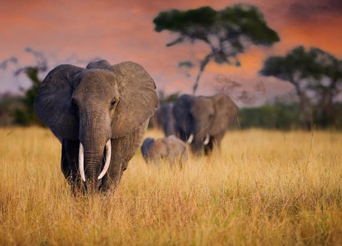 Circuit Safari Bahashishi - 10