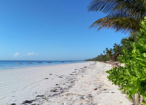 Hôtel Zanzibar Bahari Villas 4* - 13