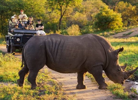 Chroniques d'Afrique Australe - Afrique du Sud, Zimbabwe, Eswatini - 16