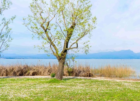 Baia Holiday Gasparina, 4* - 21