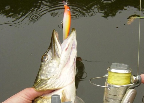 Camping Bocage du Lac, 4* - 18