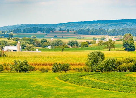Circuit Panorama du Grand Est, de Montréal à New York - 7