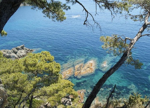 Camping Clair de Lune, 4* - 16