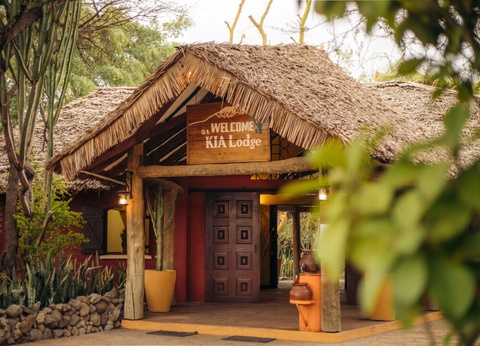 Safari Privatif - Aventure Tanzanienne - 10