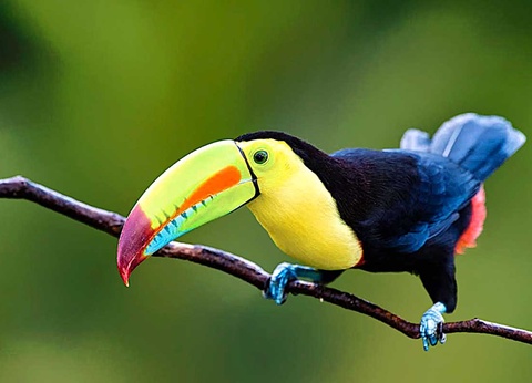 Circuit Costa Rica Autrement - 3