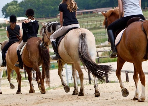 Camping DéfiPlanet', 4* - 13