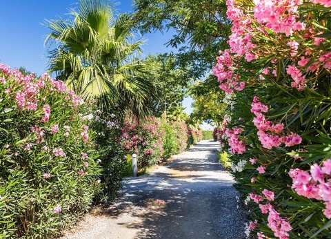 Camping Le Soleil de La Méditerranée, 5* - 32