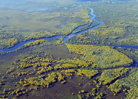 Circuit Merveilles du Brésil et Séjour Pantanal - 17